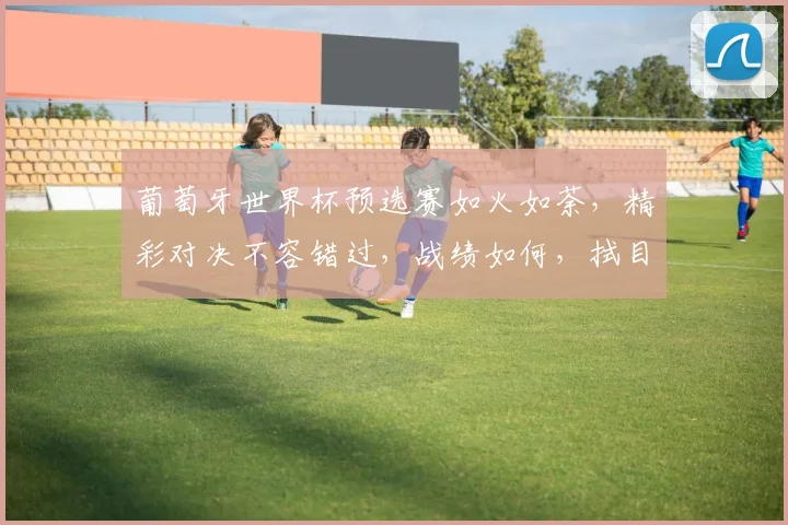 葡萄牙世界杯预选赛如火如荼，精彩对决不容错过，战绩如何，拭目以待